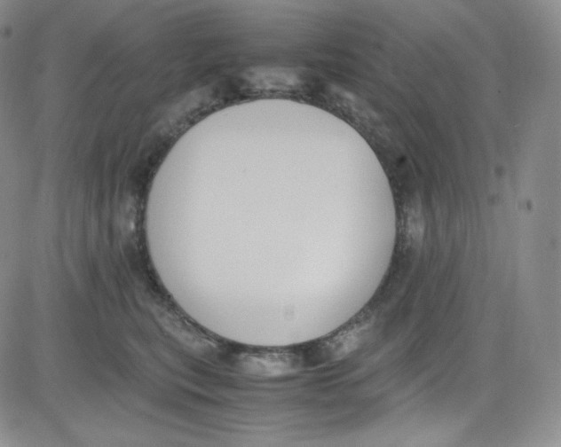 X0000080730567200701051102