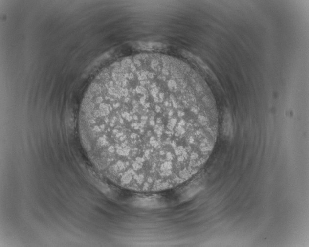 X0000080730569200701051102