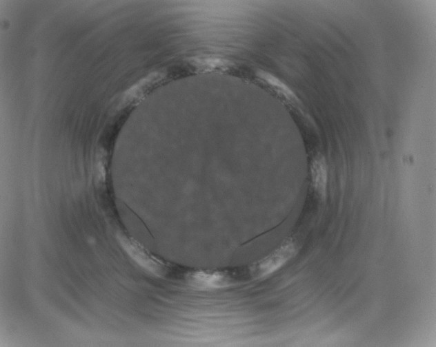 X0000080730570200701051102