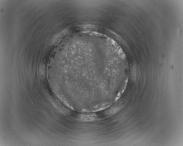 X0000080730571200701051102