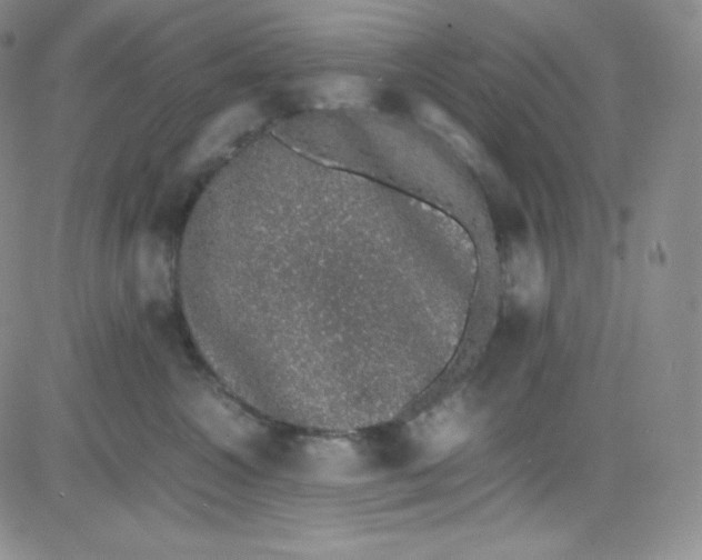 X0000080730572200701051102