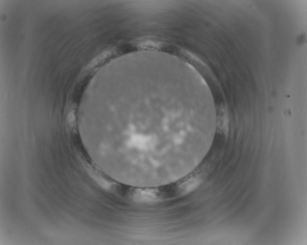 X0000080730573200701051102