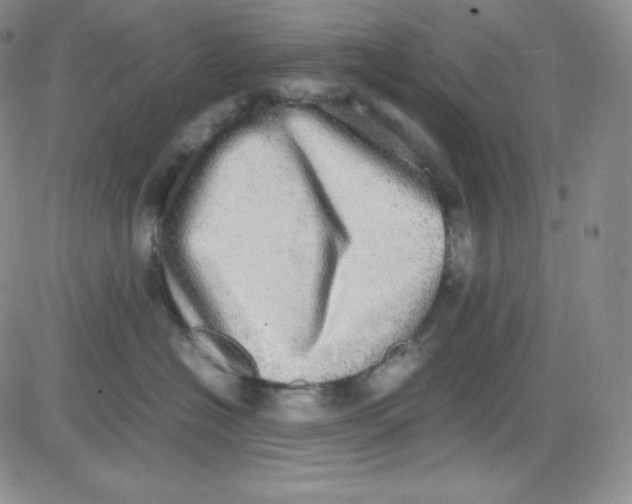 X0000080730574200701051102