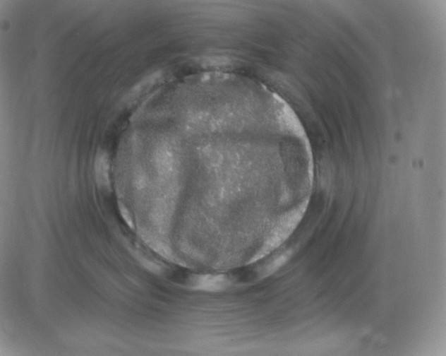 X0000080730575200701051102