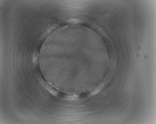 X0000080730576200701051102