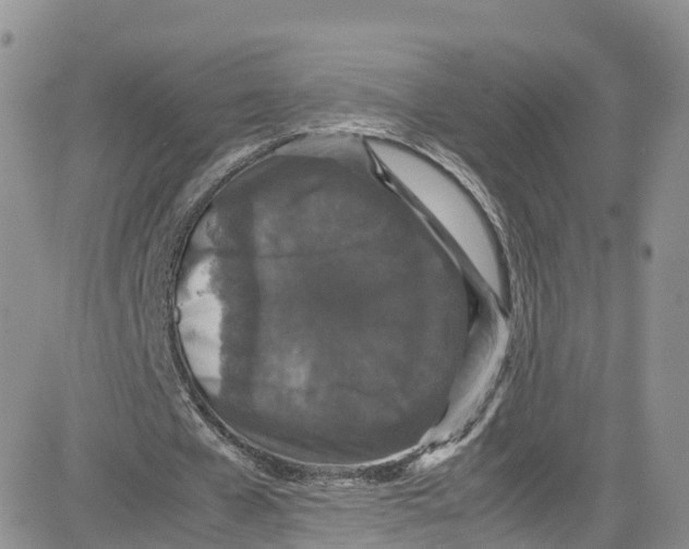 X0000080730577200701051101