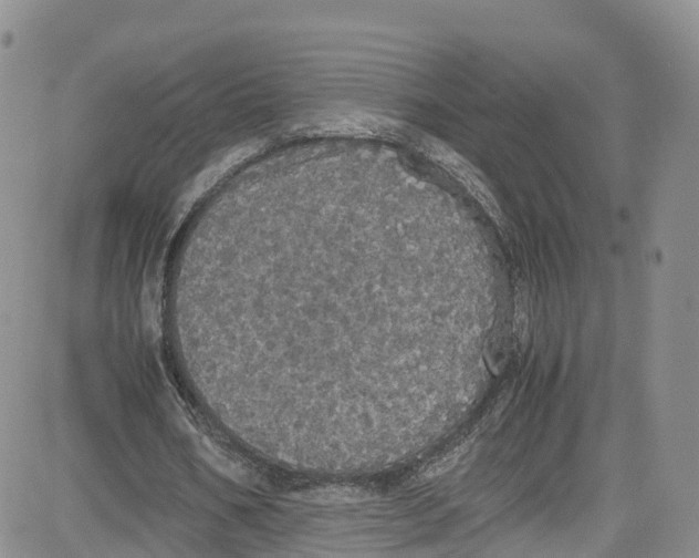 X0000080730578200701051101