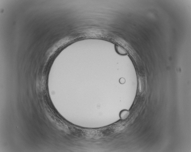 X0000080730579200701051101