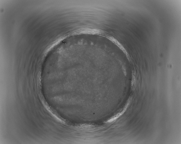 X0000080730581200701051101