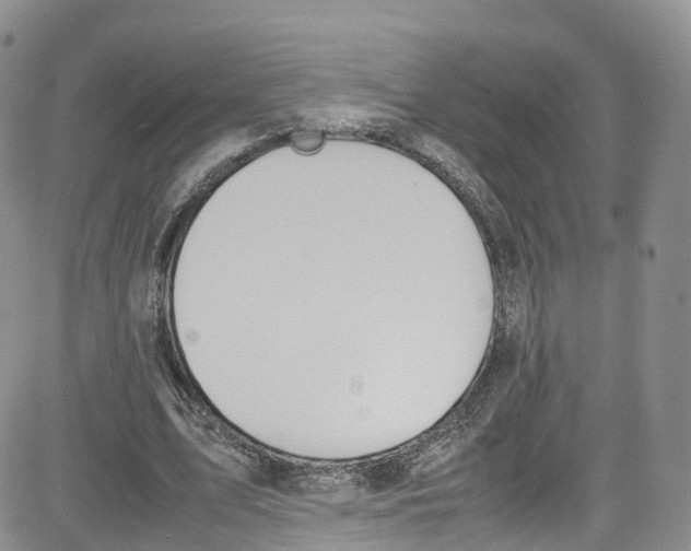 X0000080730583200701051101