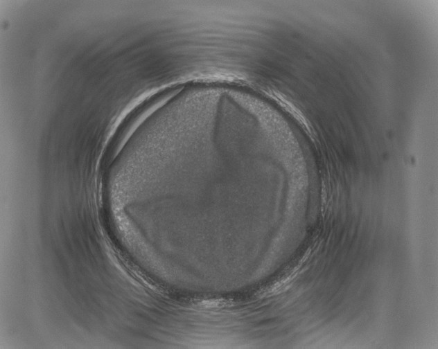 X0000080730584200701051101