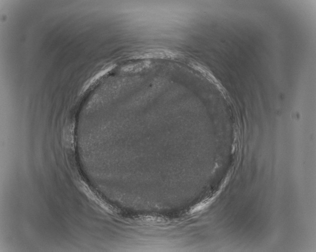 X0000080730585200701051101