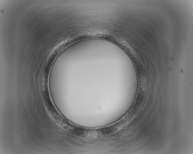 X0000080730587200701051101