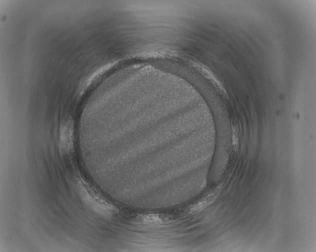 X0000080730588200701051101