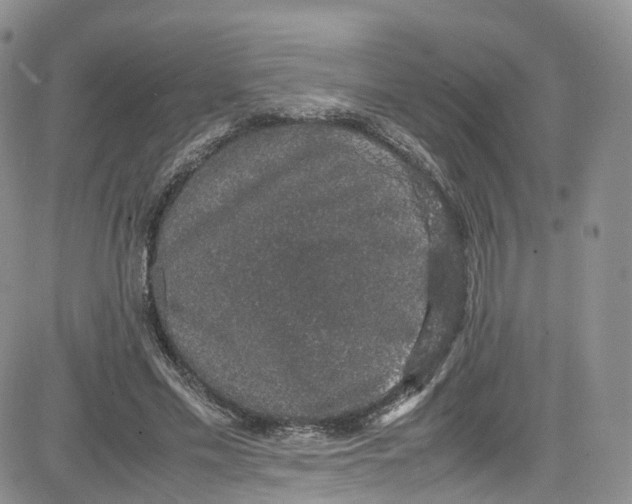 X0000080730589200701051101