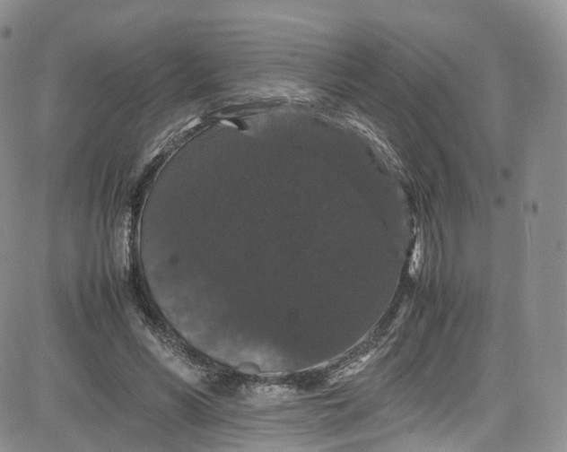 X0000080730590200701051101