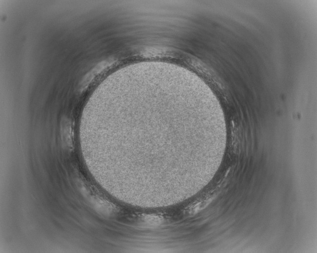 X0000080730592200701051101