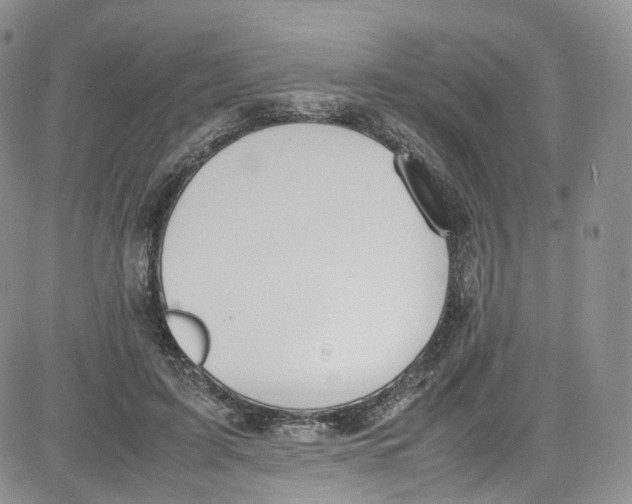 X0000080730595200701051101