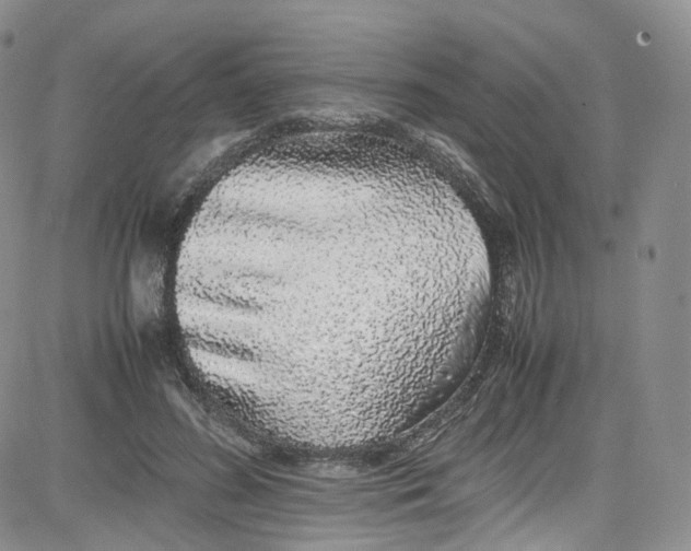 X0000080730596200701051101