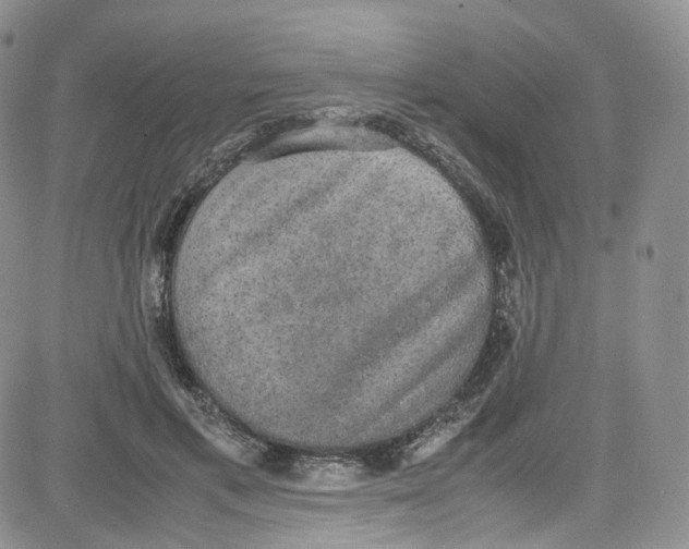 X0000080730597200701051101