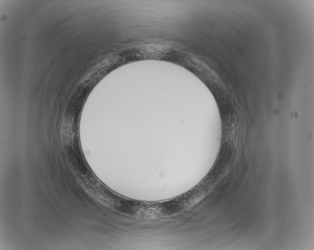 X0000080730599200701051101