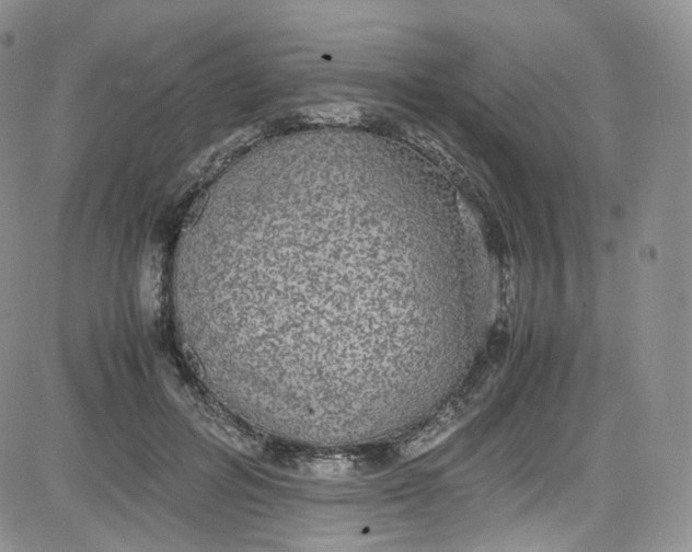 X0000080730600200701051101