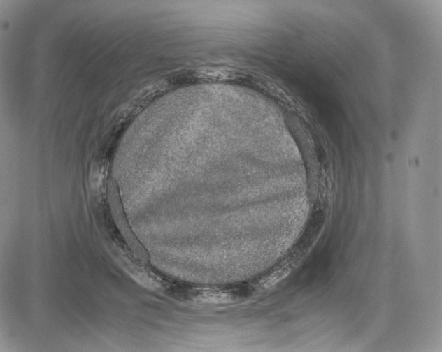 X0000080730601200701051101