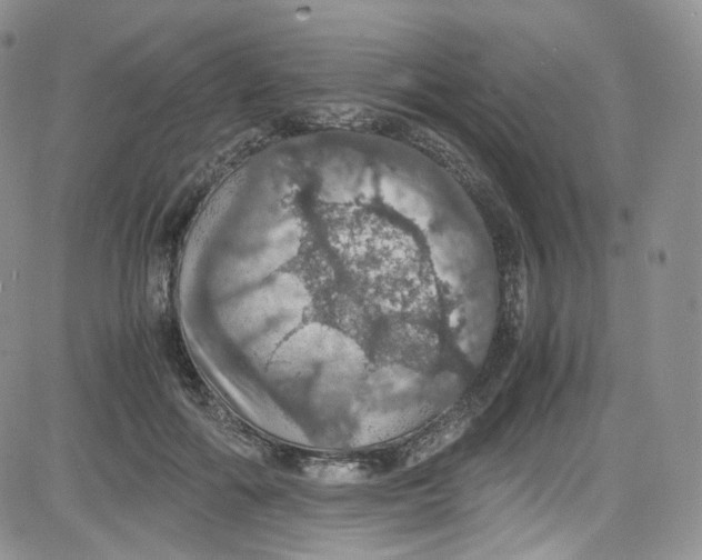 X0000080730602200701051101