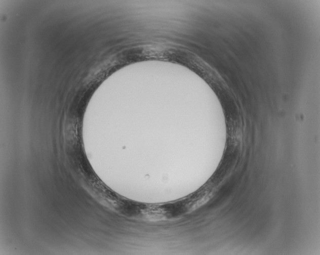 X0000080730603200701051101