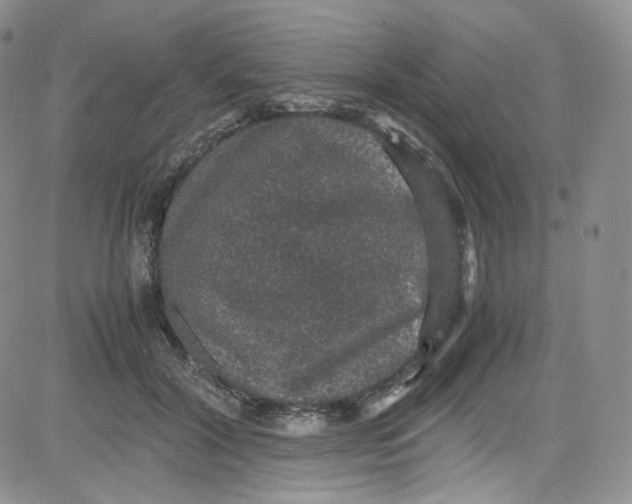 X0000080730604200701051101