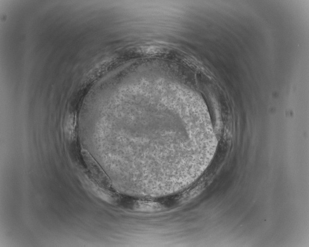 X0000080730605200701051101