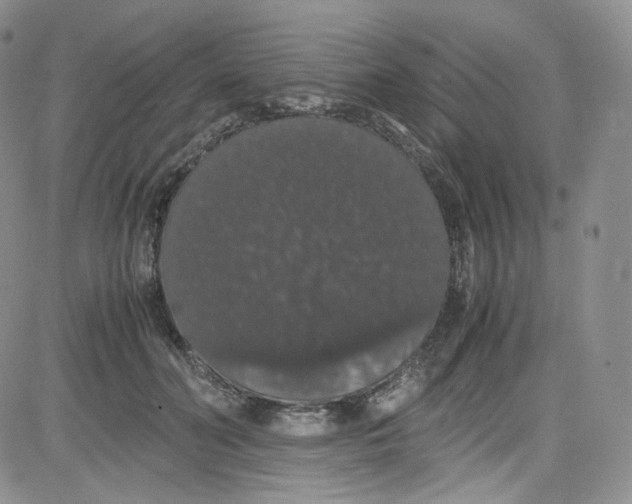 X0000080730606200701051101