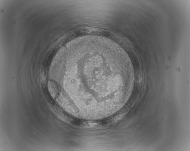 X0000080730607200701051101