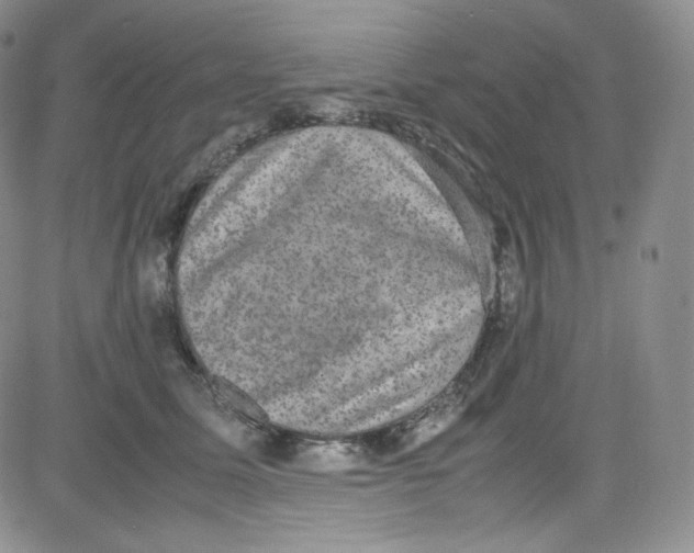 X0000080730611200701051101