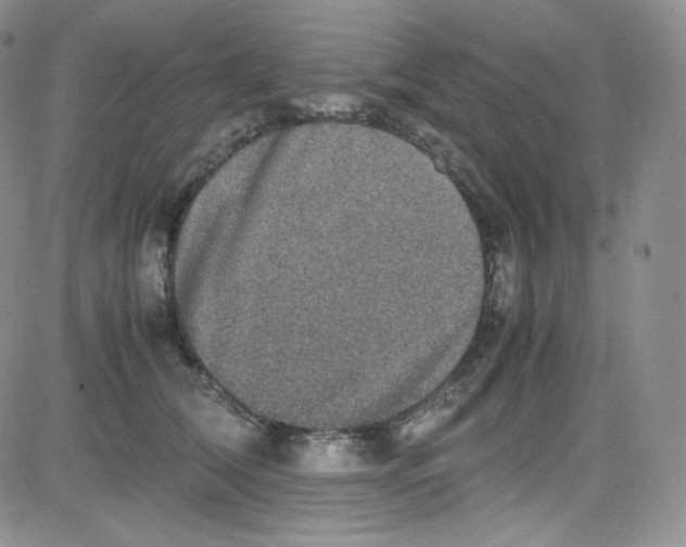 X0000080730612200701051101