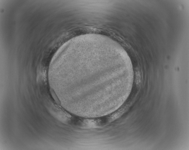 X0000080730613200701051101