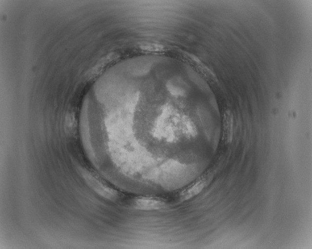 X0000080730614200701051101