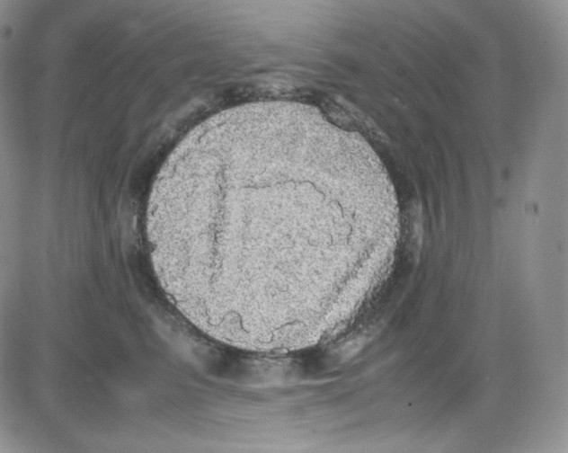 X0000080730615200701051101