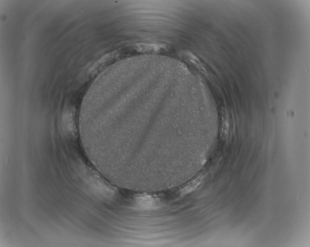 X0000080730616200701051101