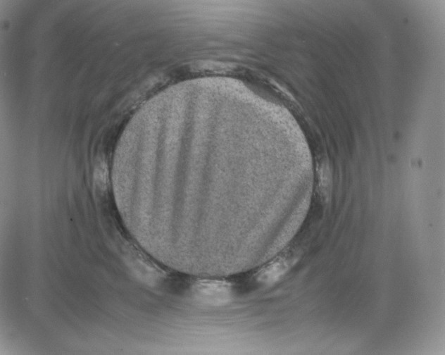 X0000080730617200701051101