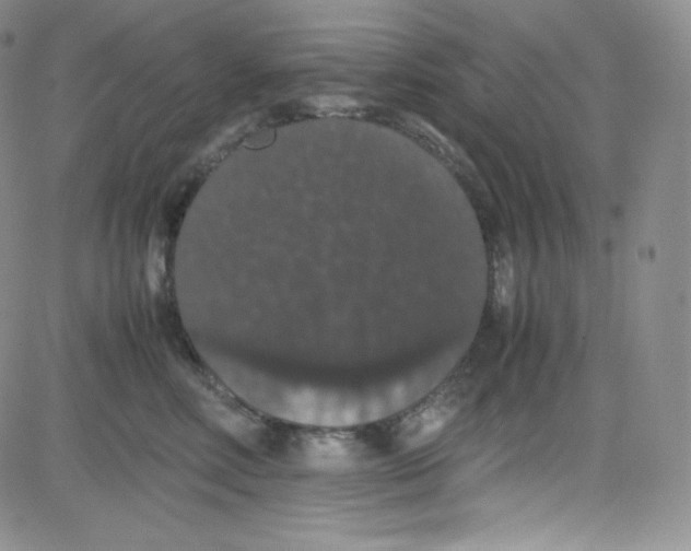 X0000080730618200701051101