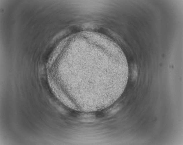 X0000080730619200701051100