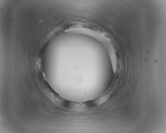 X0000080730621200701051100