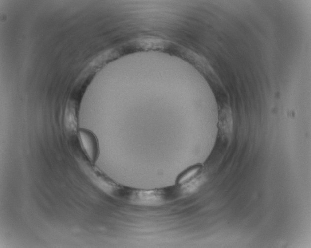 X0000080730622200701051100