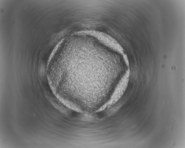 X0000080730623200701051100