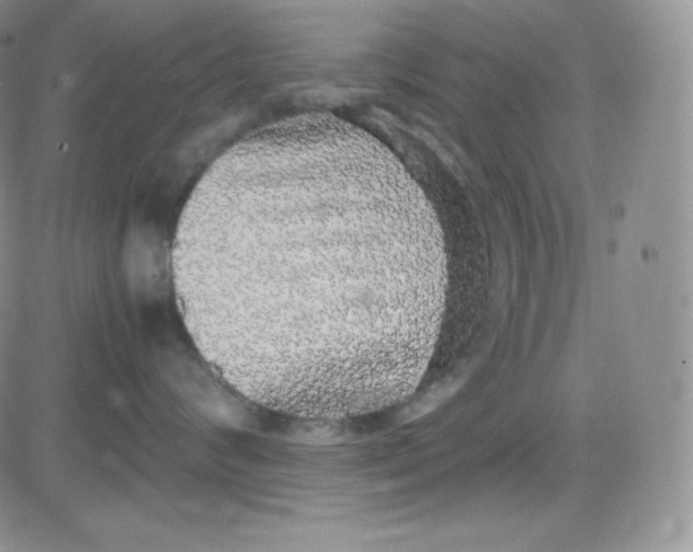 X0000080730624200701051100