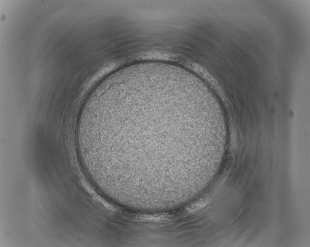 X0000080730625200701051100