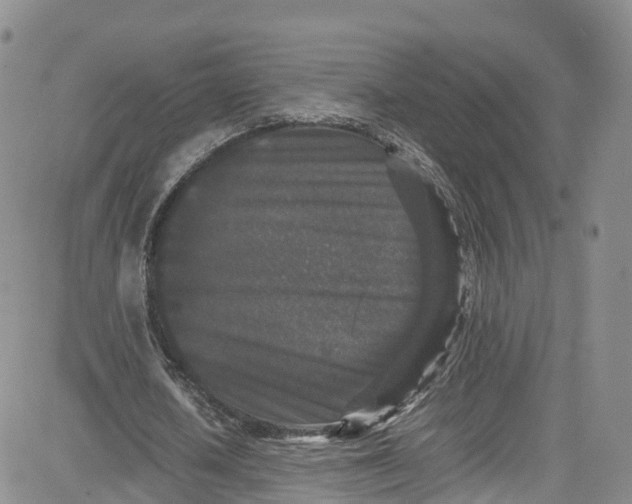 X0000080730626200701051100