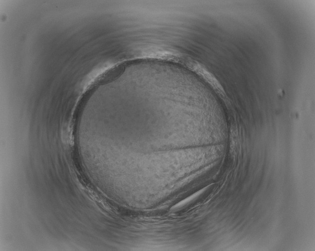 X0000080730628200701051100