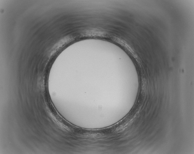 X0000080730629200701051100